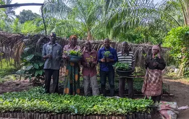 Members of the cooperative during the distribution of coffee seedlings. Photo credit: COCAT
