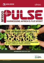A Nature-Based Solution: To Contribute To The Transformation Of The African Food Systems