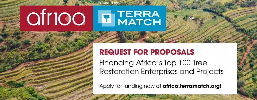 Request For Proposals: Financing Africa’s Top 100 Tree Restoration Enterprises and Projects