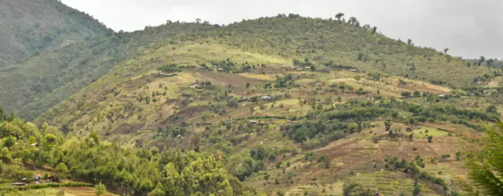 7 Ways African Leaders Are Restoring Their Landscapes