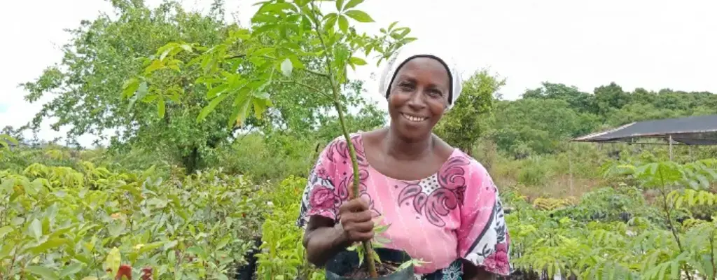 Enrichment planting in Kenya’s Buda complex and Shimba hills ecosystem