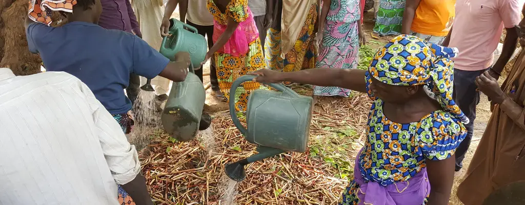 Les petits exploitants agricoles camerounais s'impliquent dans la restauration des paysages forestiers