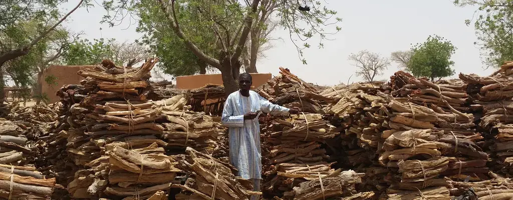 Radio Helps Niger Farmers Bring Life Back to Their Land