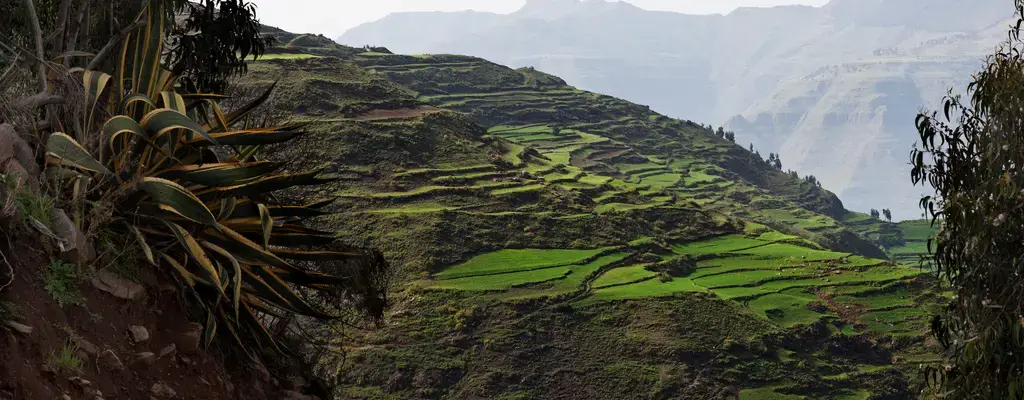 Ethiopian landscape restoration in 3 steps: Motivate, enable and implement