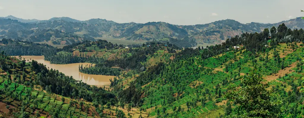 How 4 African Champions Are Restoring Land And Improving The Lives of Rural Farmers in Rwanda