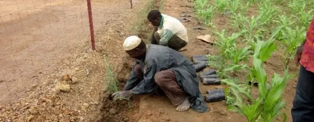 Burkina Faso: Communities engaged in the management of degraded land