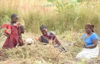 Meet 20 Entrepreneurs Restoring Land in Malawi
