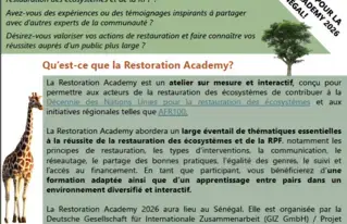 Restoration Academy 2026