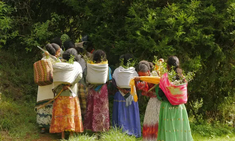 Women are key change agent in restoring land in Ethiopia