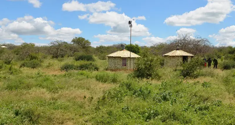 Maasai herders are regenerating Kenya's rangelands