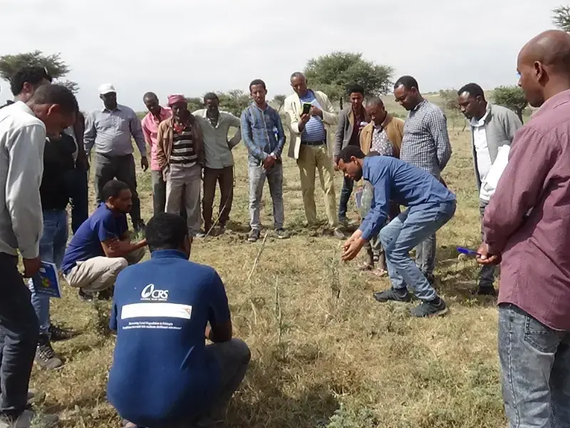 FMNR training for stakeholders