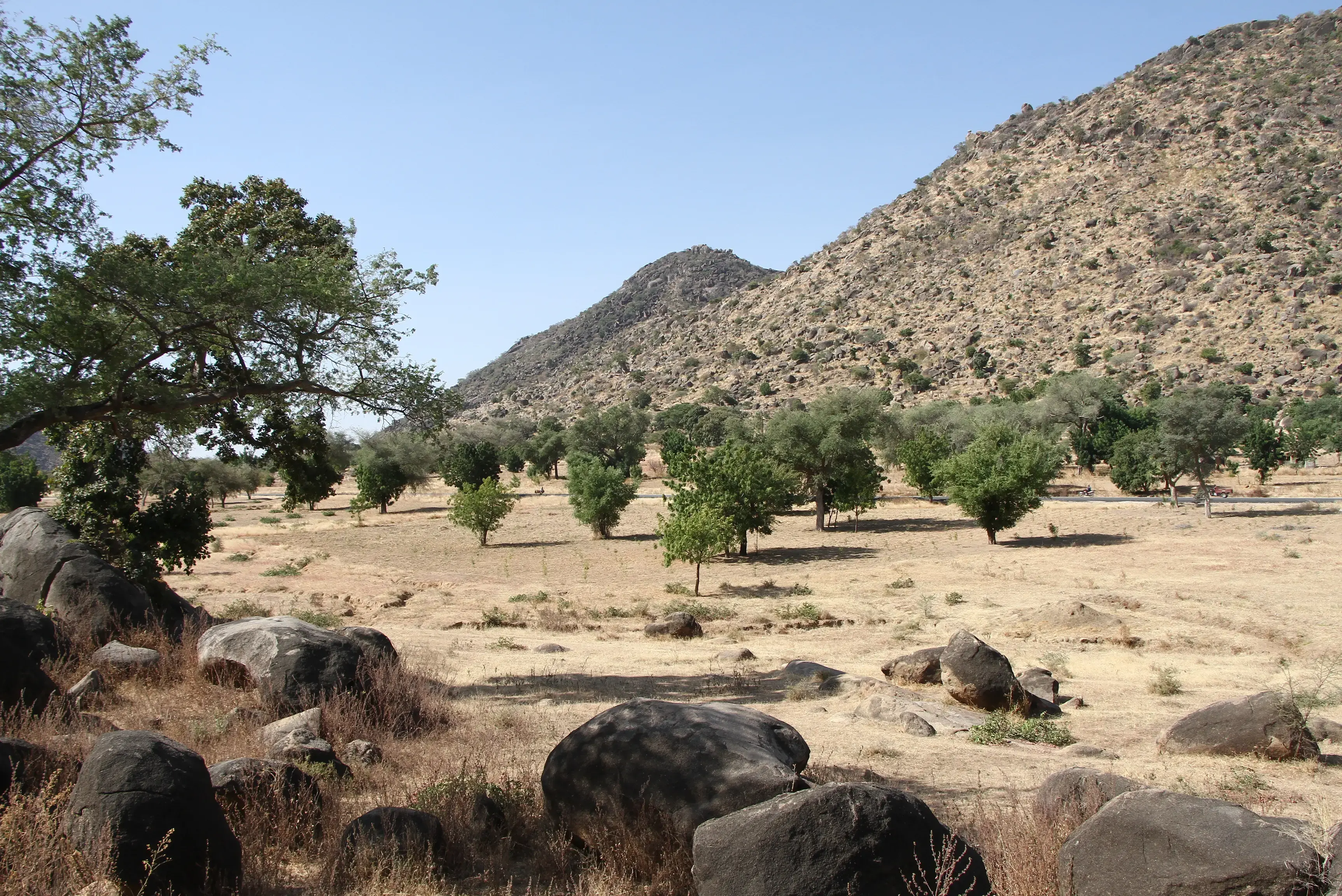 Land degradation affects farmers and herders  that rely on healthy land for their livelihoods.