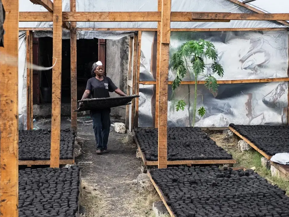 Charcoal Briquettes