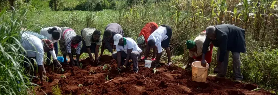 Harnessing Technology For Climate-Resilient Farmers in Kenya