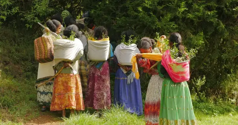 Women fight land degradation in Ethiopia