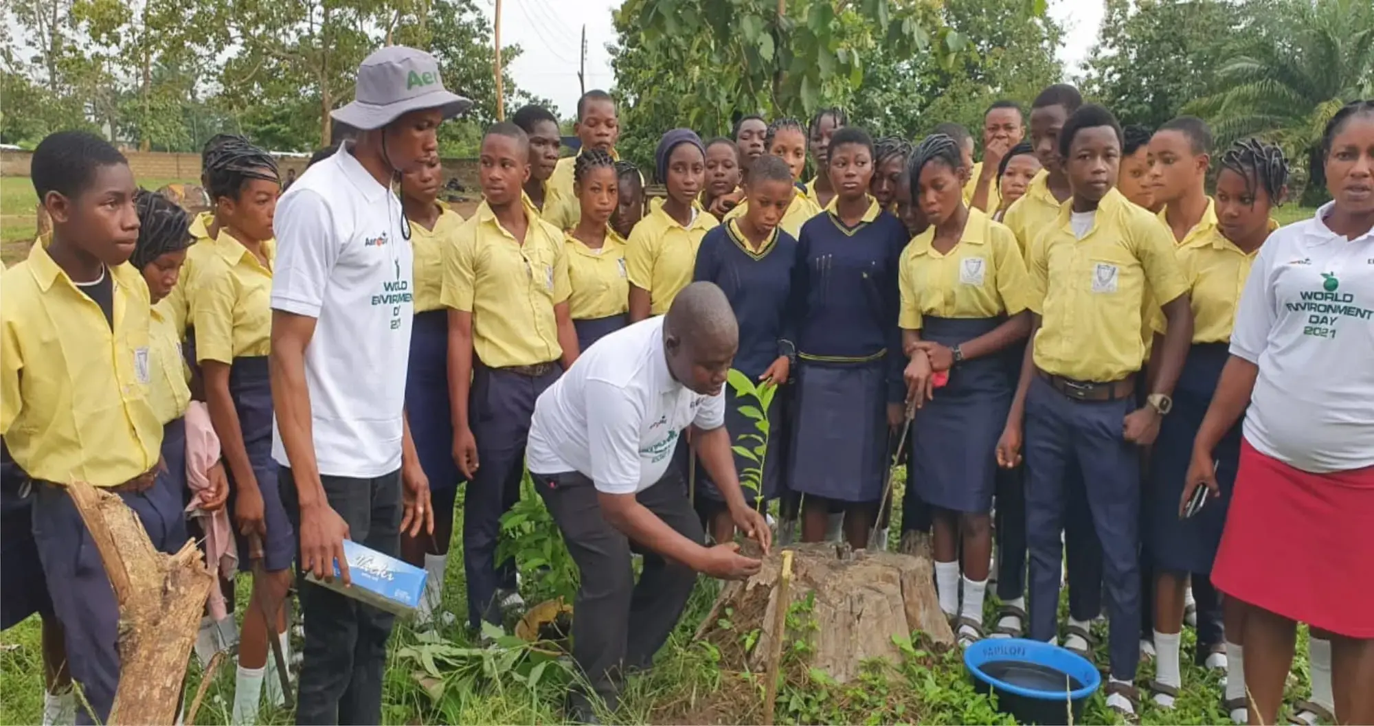 Aerobic Agroforestry in Action