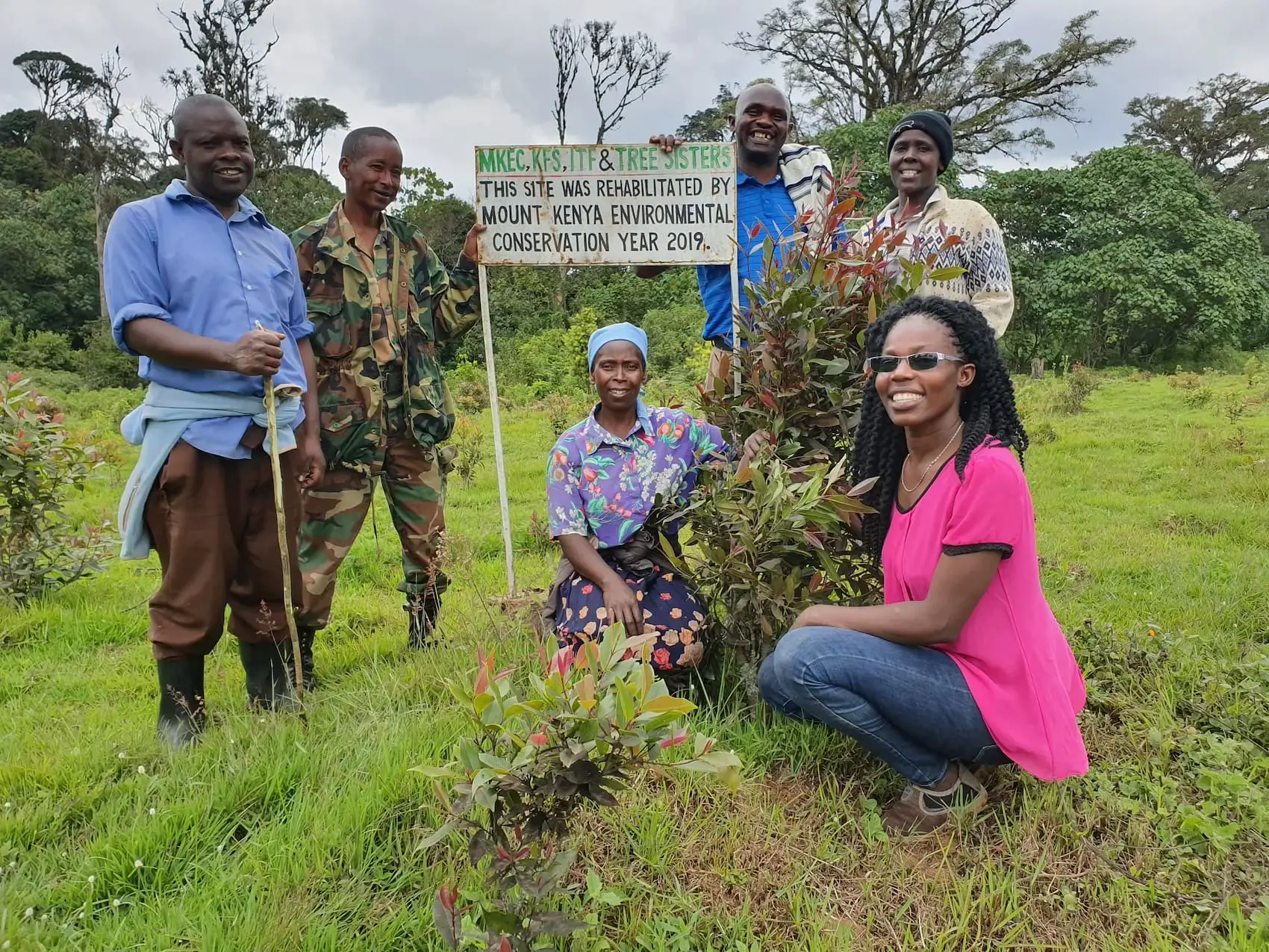 Tree planting