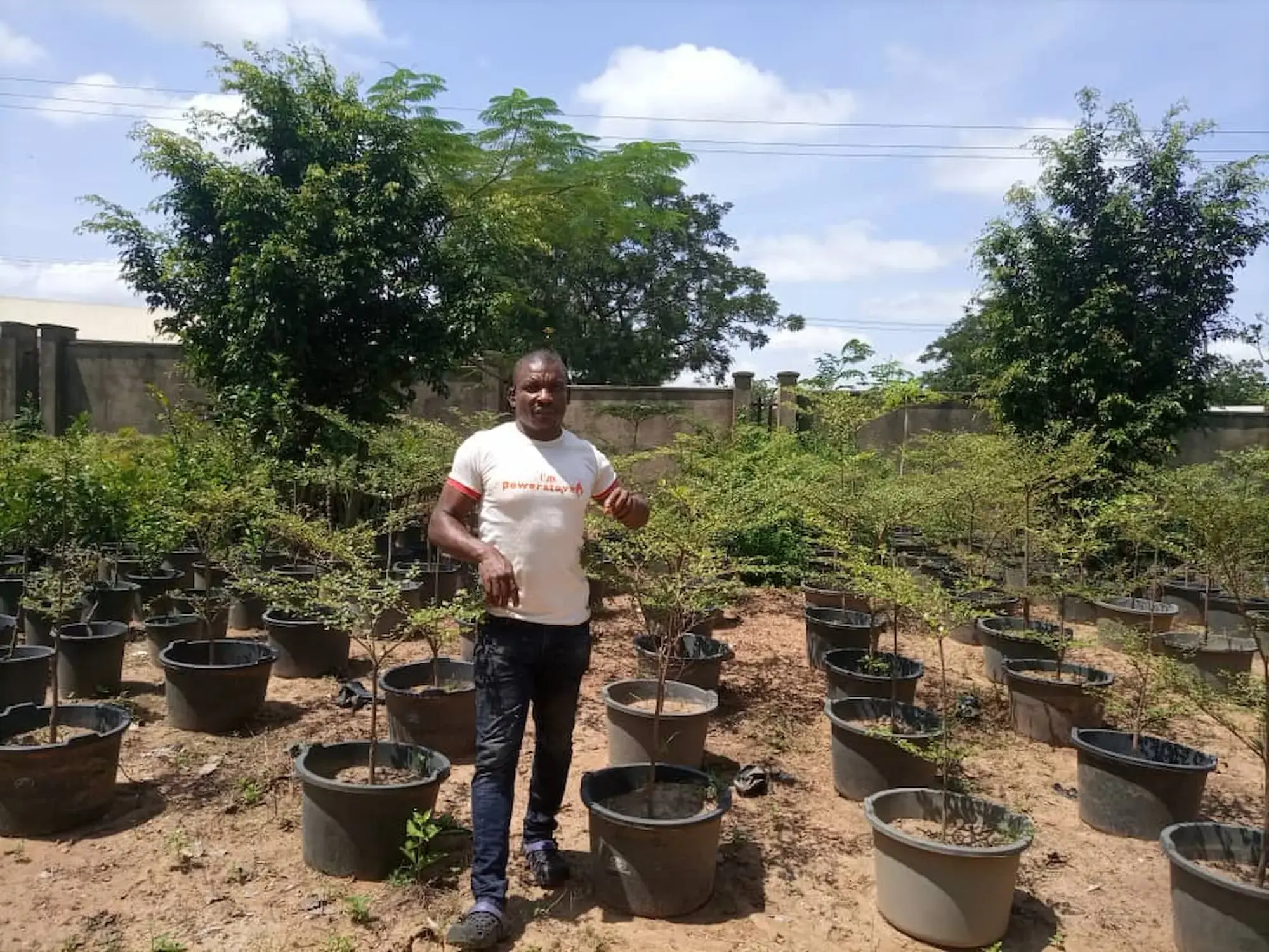 Tree Growing