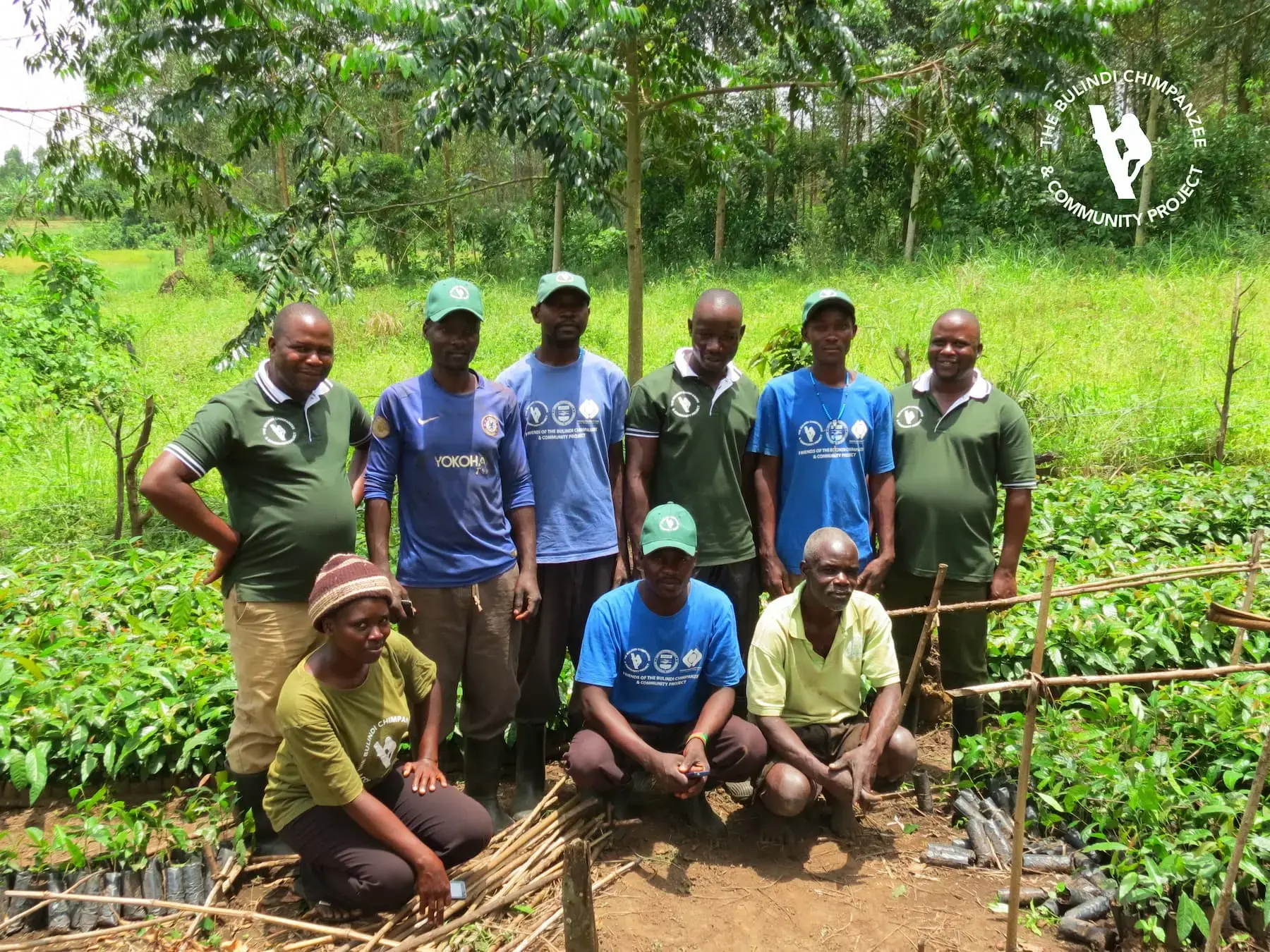 Bulindi team members working in the tree nurseries
