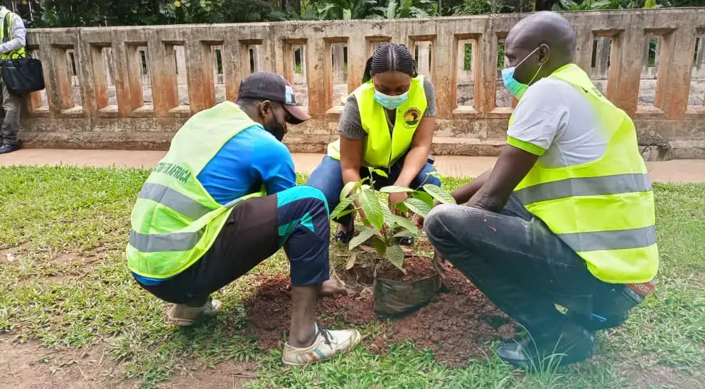 Blessed Action for Africa at work
