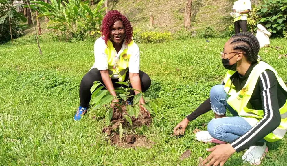 Blessed Action for Africa at work