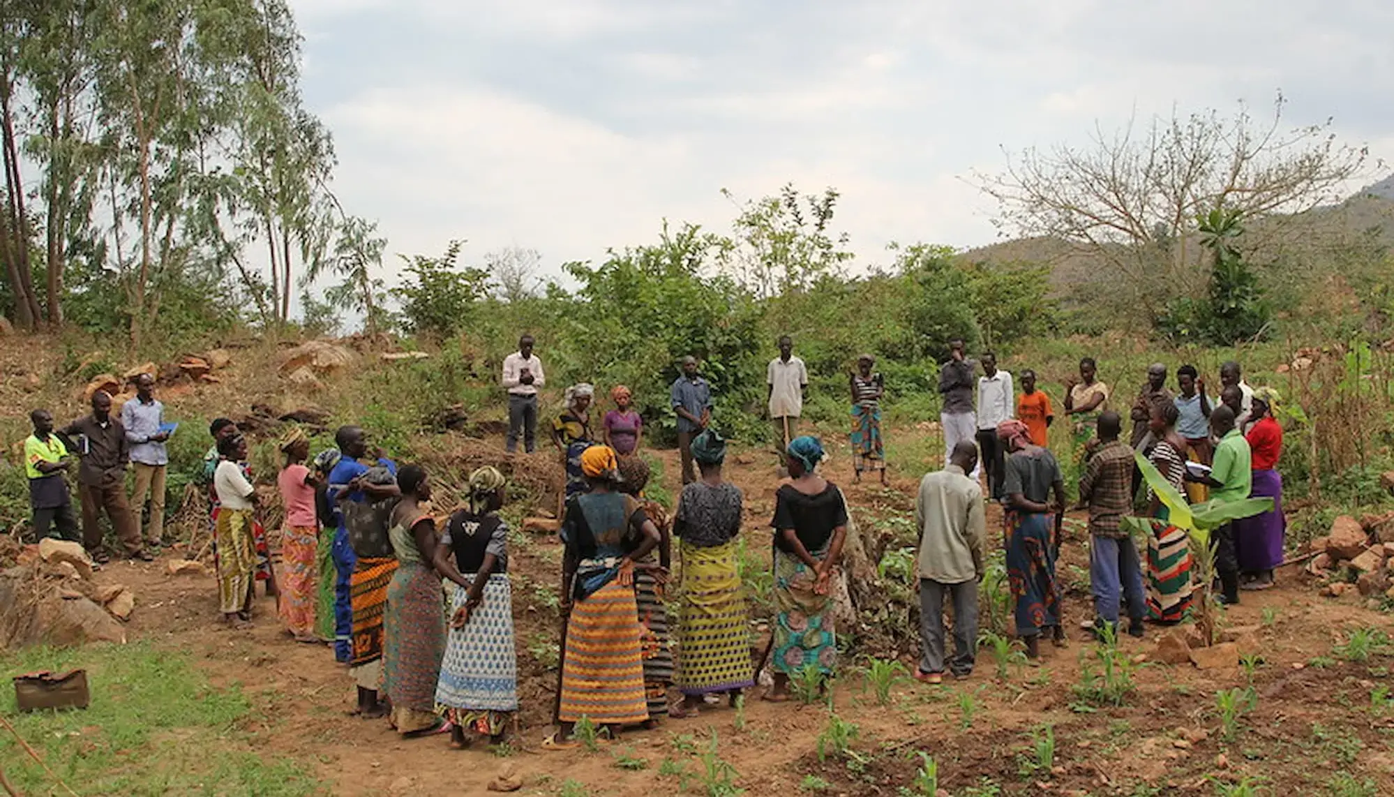 Plant with Purpose in DRC