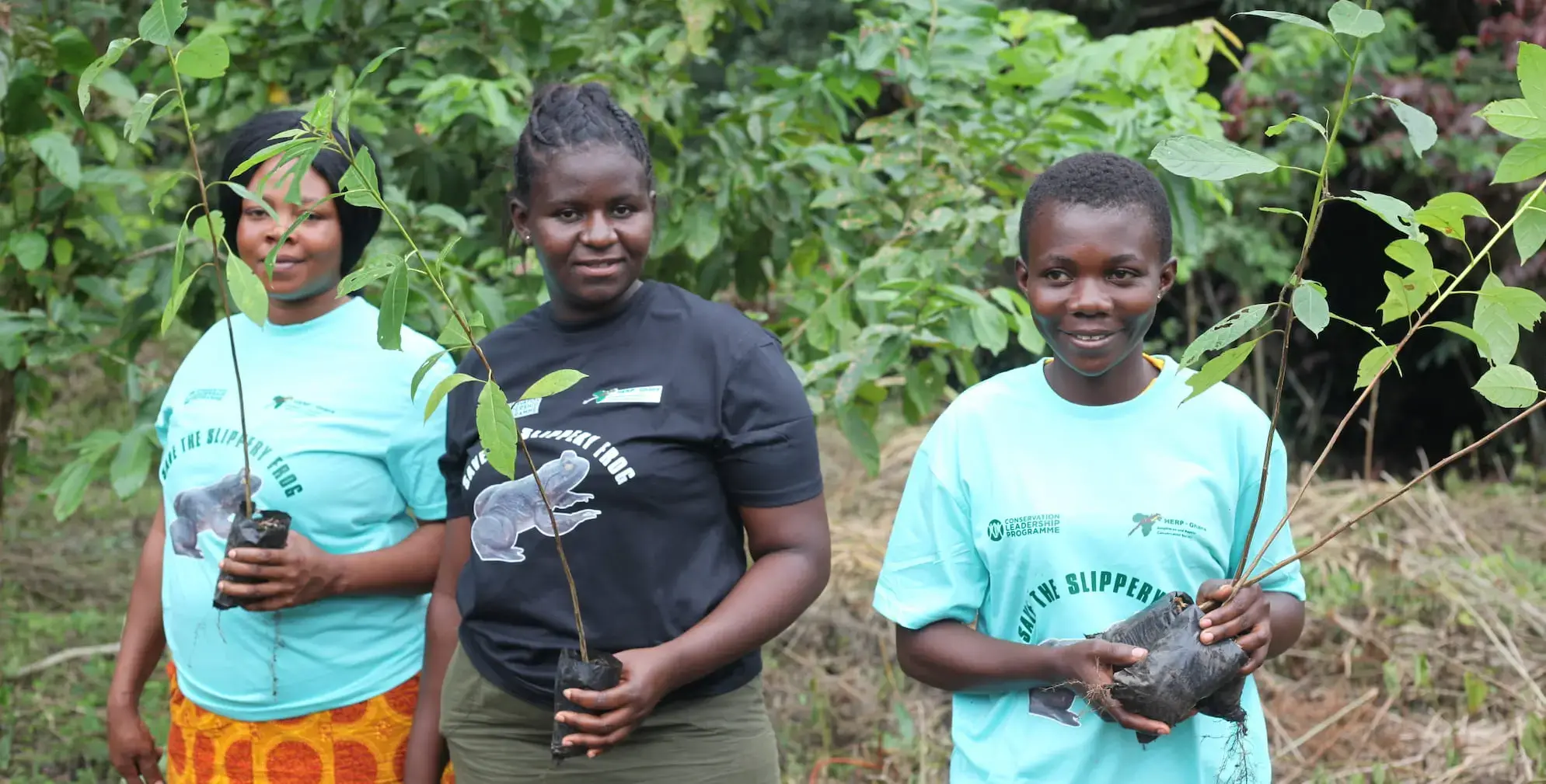 Promoting Restoration to Save Ghana’s Endangered Amphibians and