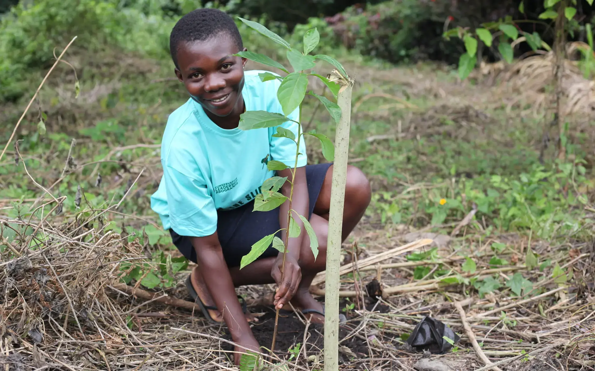 Herp-Ghana in action
