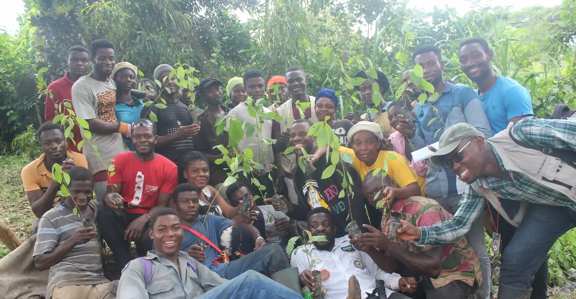 Herp-Ghana in action