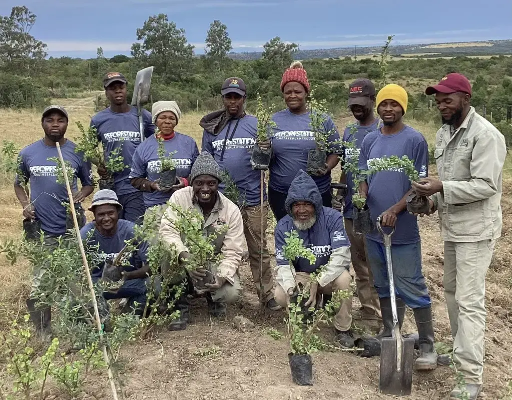 Nguni Nursery in Action