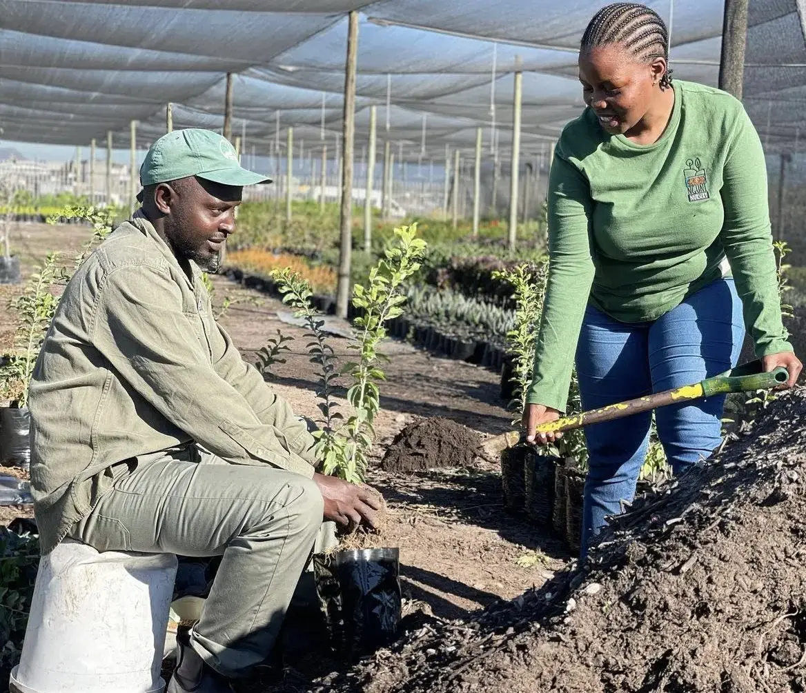 Nguni Nursery in Action