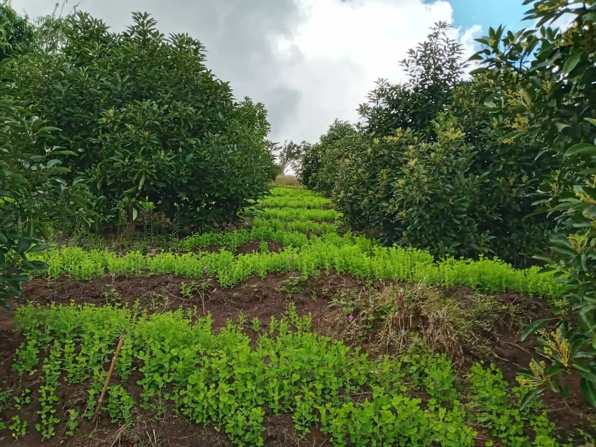 Germark Holdings work in a photo