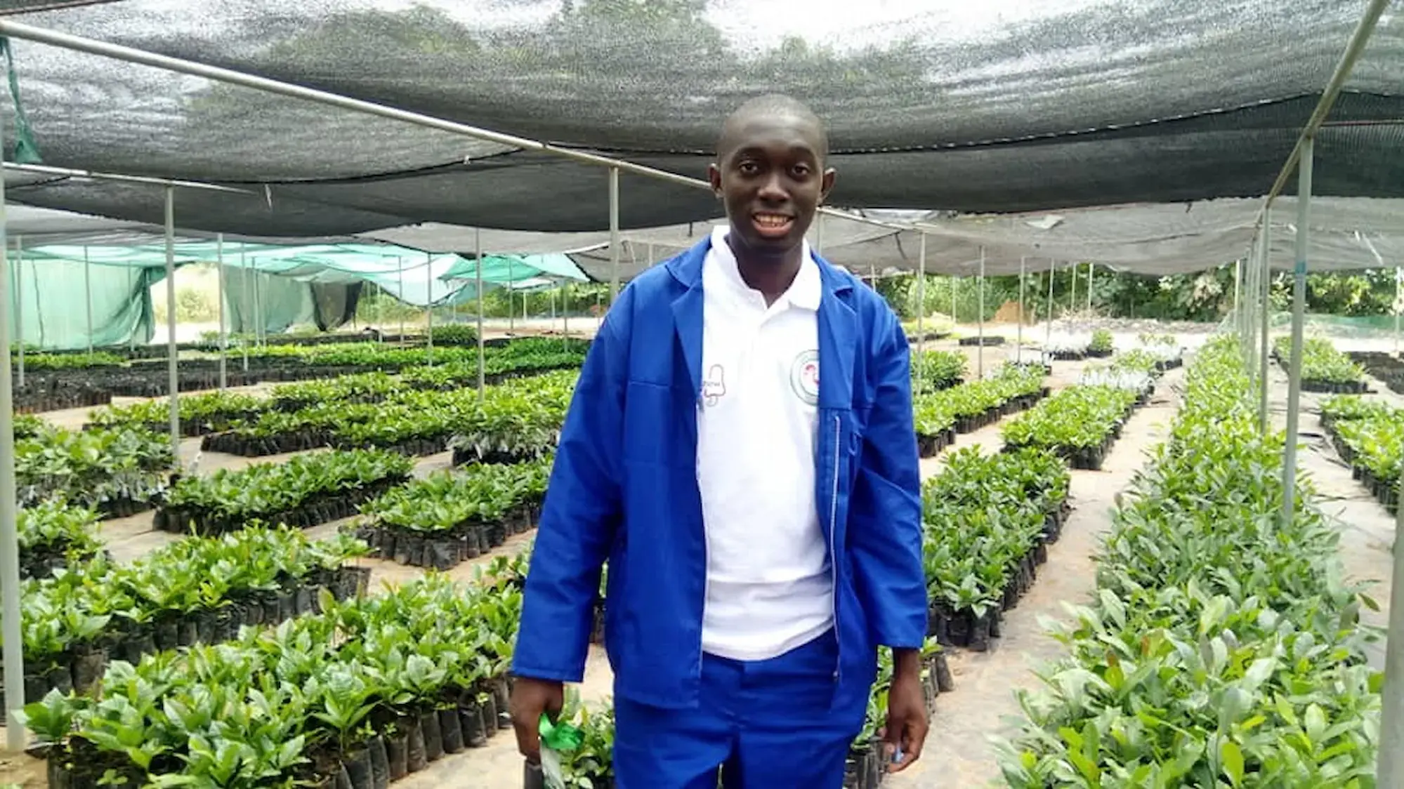 Mooto Cashew nursery
