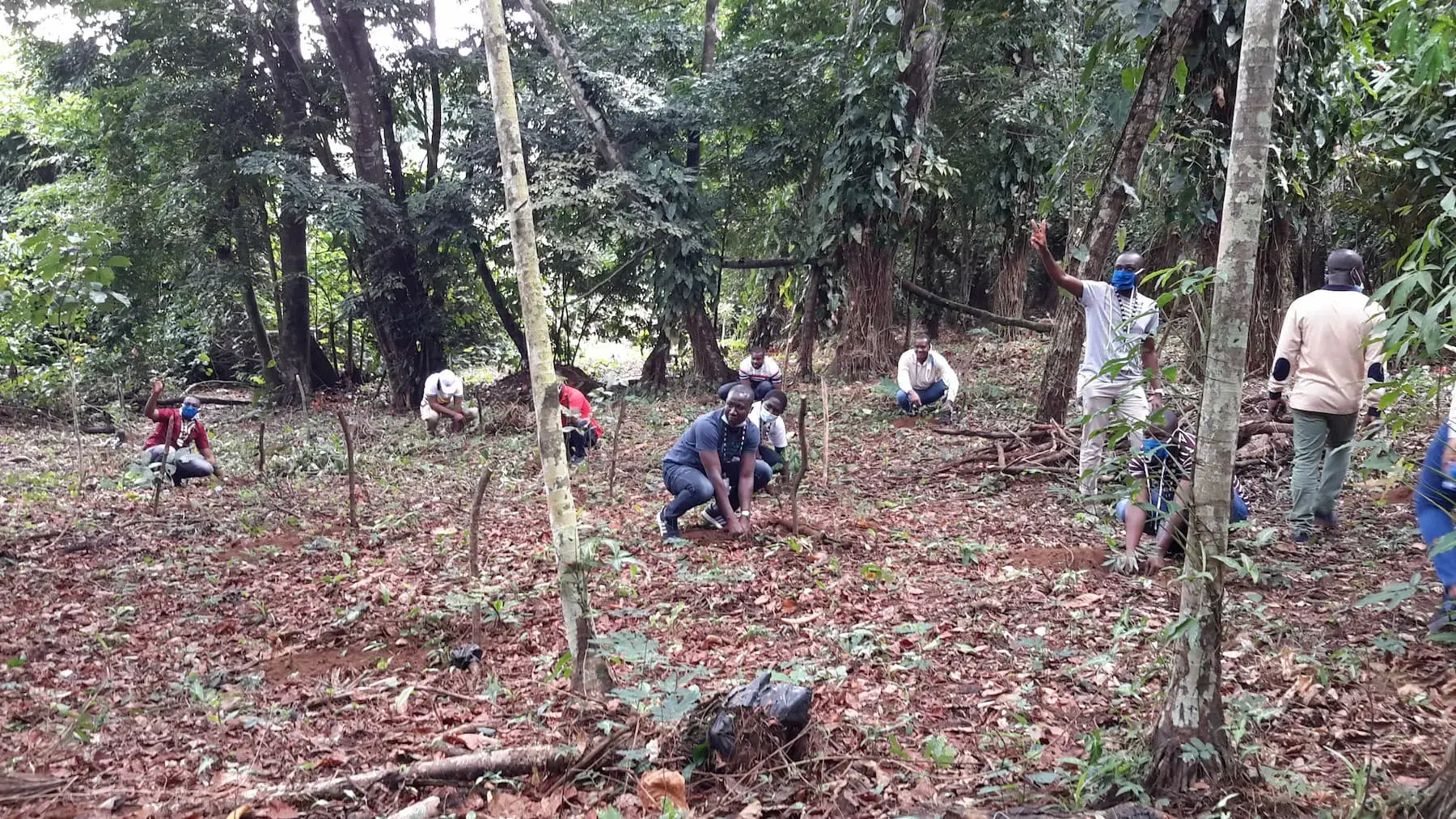 Restoring the fading forests with the communities of Côte d’Ivoire | AFR100