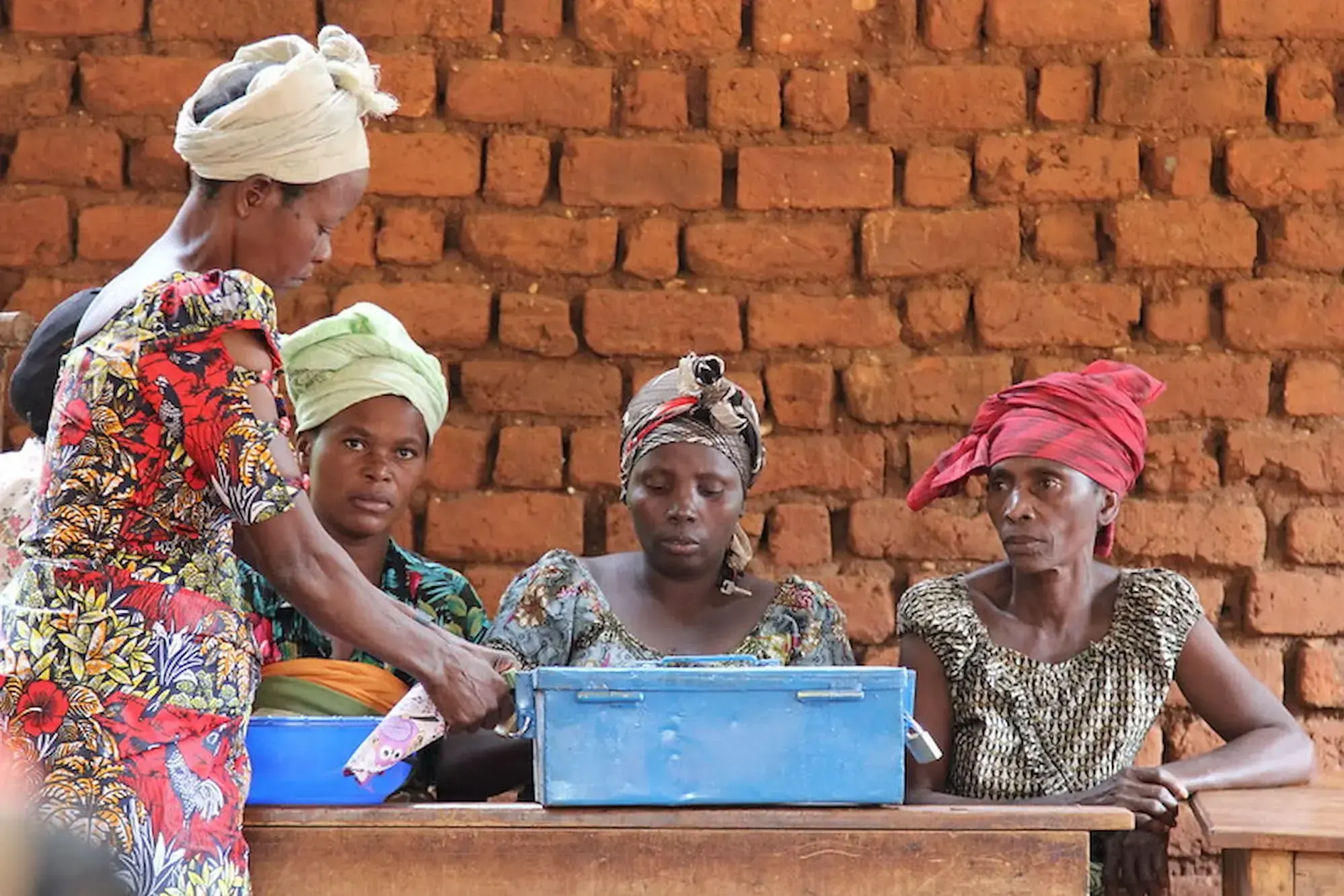 Plant with Purpose in DRC