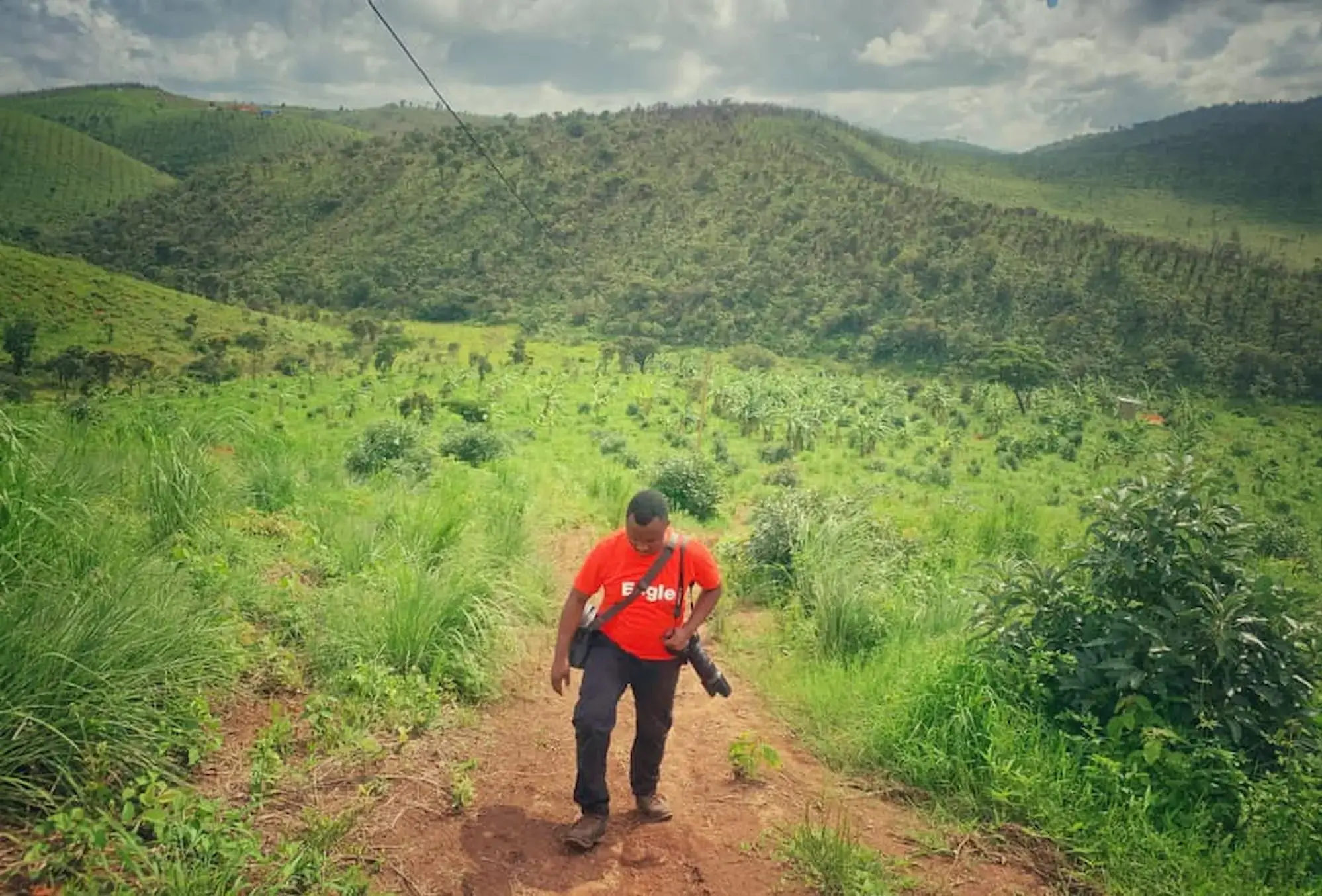 Germark Holdings work in a photo