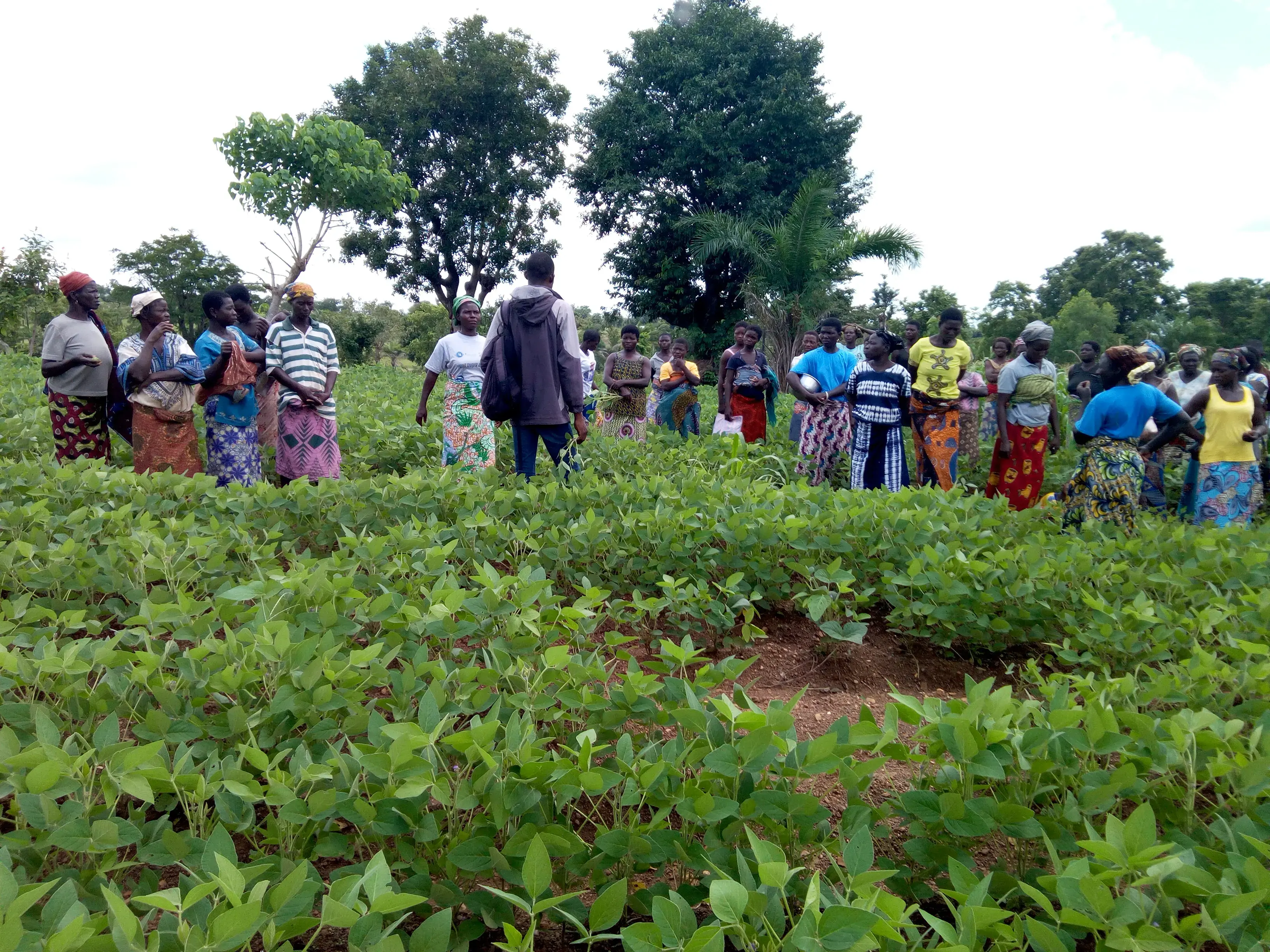 Séance de travail avec les femmes agricultrices sur les bonnes pratiques agricoles