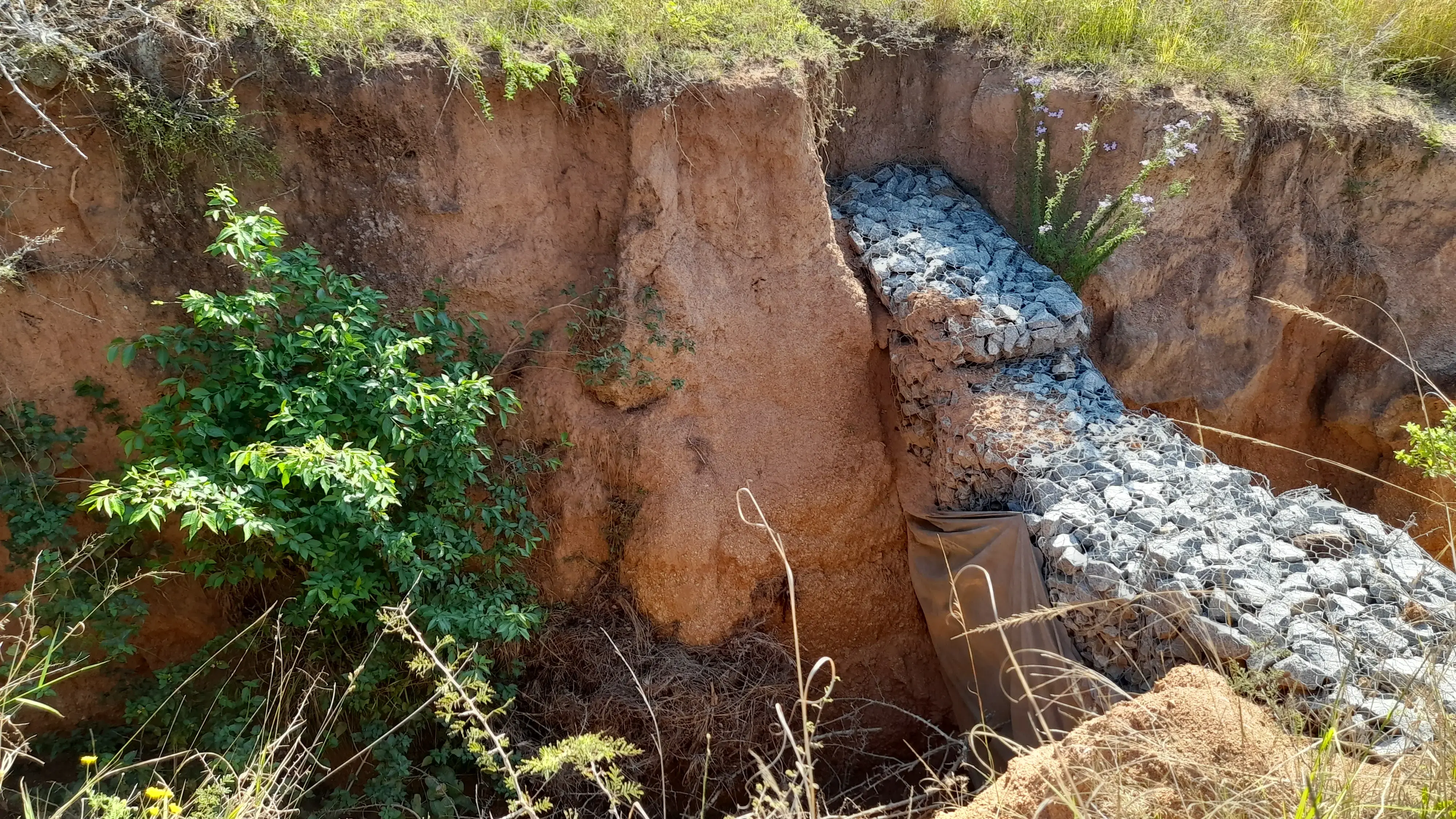 Stabilizing soil is key