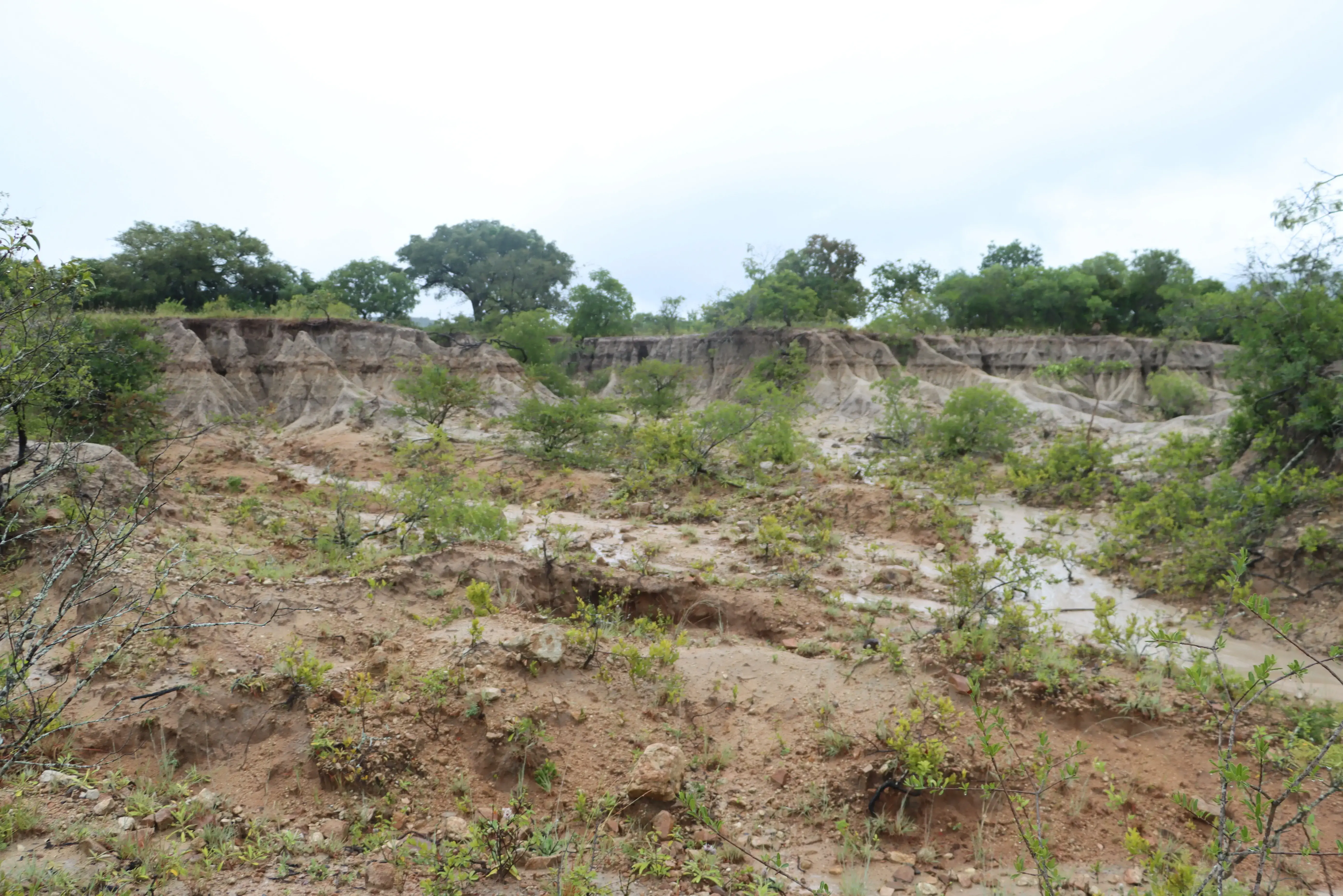 Project site