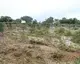 Project site