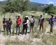 Planting at the project site