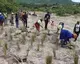 Planting anti-erosive grasses