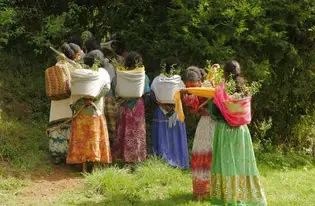 Women fight land degradation in Ethiopia