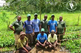 Bulindi team members working in the tree nurseries