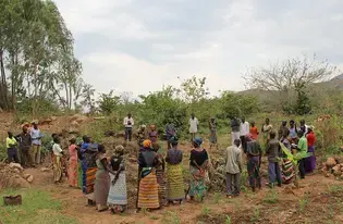 Plant with Purpose in DRC