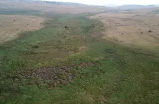 Bhidlilili wetland