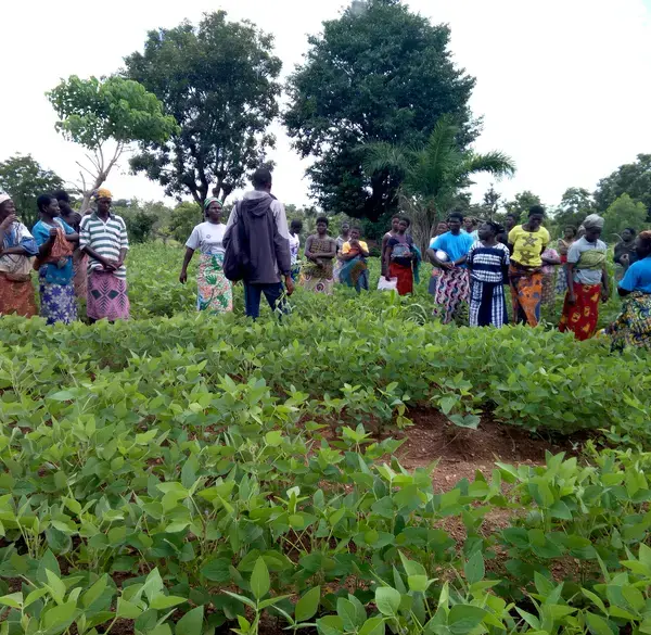 Séance de travail avec les femmes agricultrices sur les bonnes pratiques agricoles