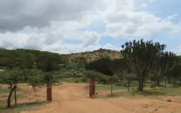 Mukogodo Forest landscape