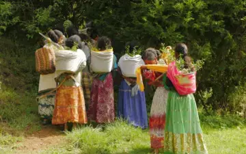 Women are key change agent in restoring land in Ethiopia