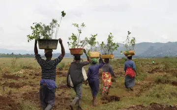 Local communities have planted over 49,000 indigenous tree species